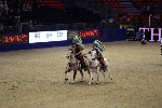Quadrille - 00349